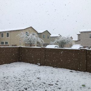 Meet your Posher, Janet